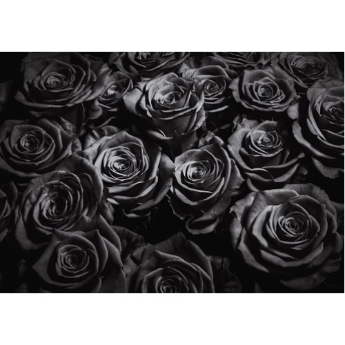 BLACK ROSES